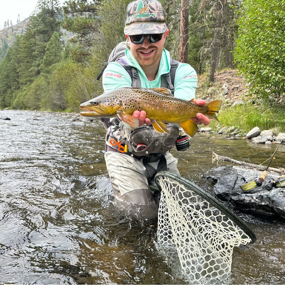 Meet your Posher, Zachary
